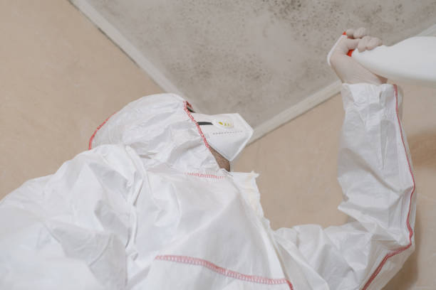Best Mold Removal Near Me  in Rosenberg, TX