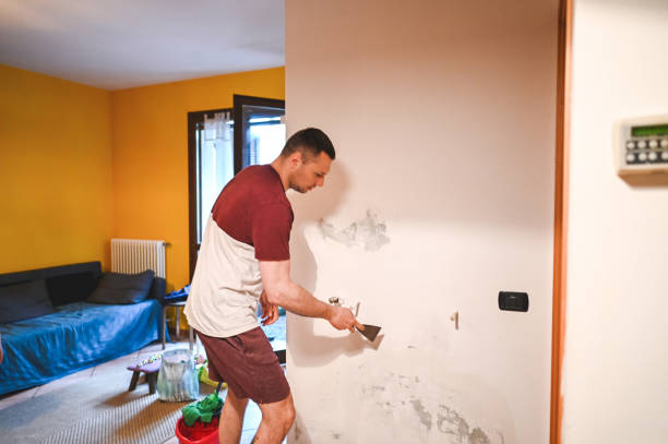 Rosenberg, TX Mold Removal Company
